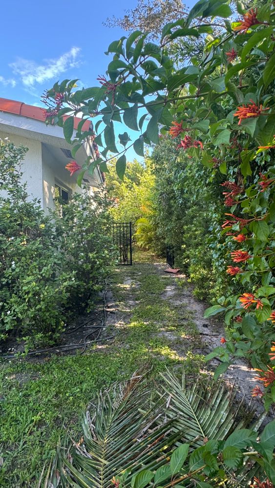 New Photo Uploads for South Florida Terra Systems in Boca Raton, FL