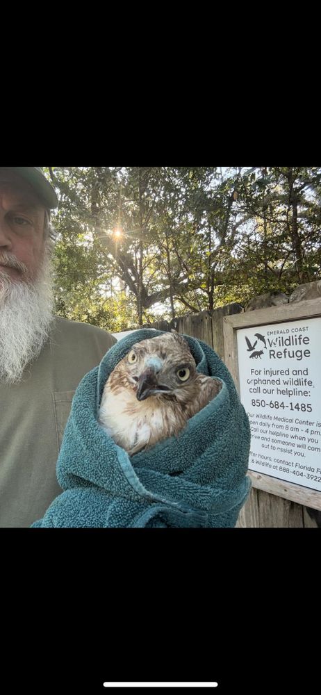 All Photos for Dirt Worx in Navarre, FL