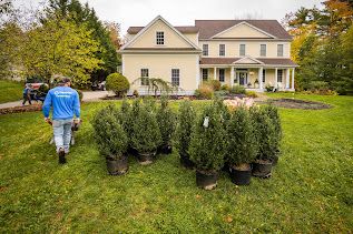 All Photos for Pungitore Landscapes, Irrigation & Fertilizer in Hingham, MA