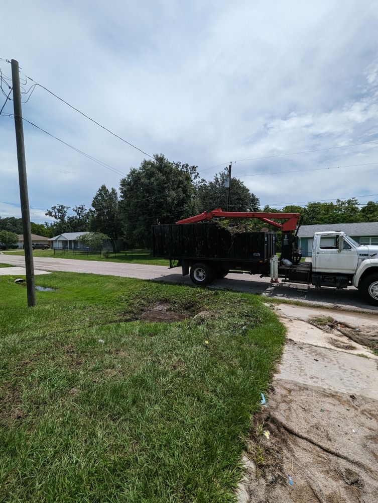 All Photos for Regal Tree Service and Stump Grinding in Wauchula, FL
