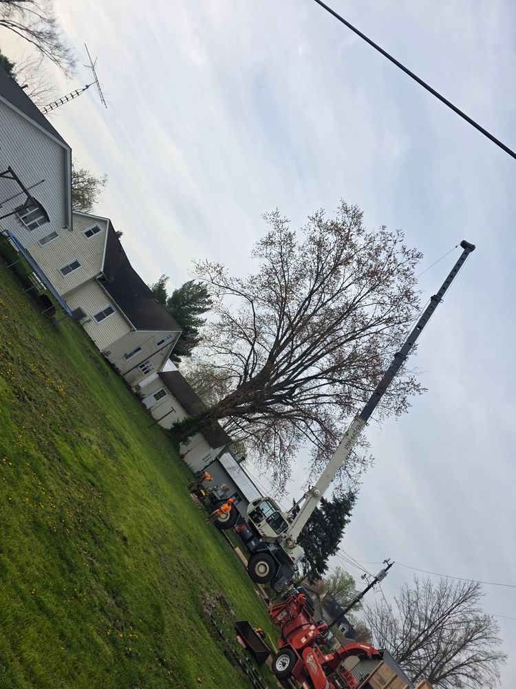 All Photos for Advanced Tree Solutions in Rockville, IN