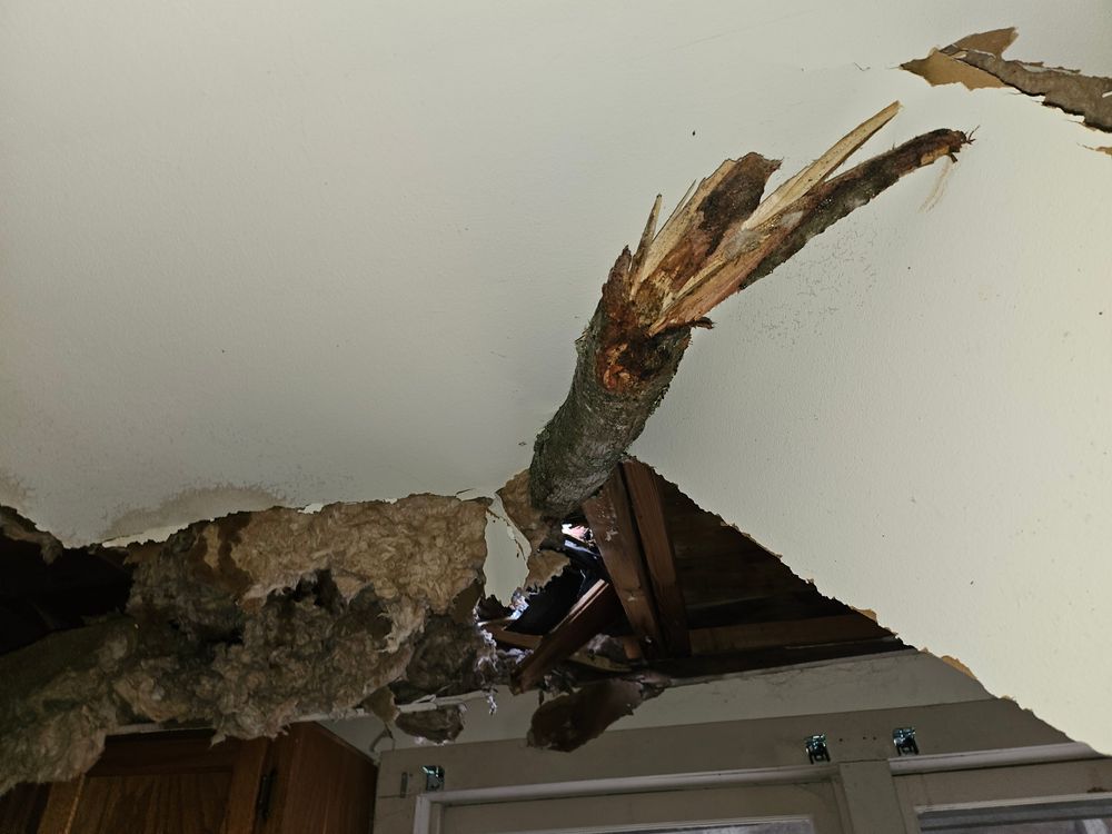 All Photos for Rippetoe Builders LLC in Cookeville, TN