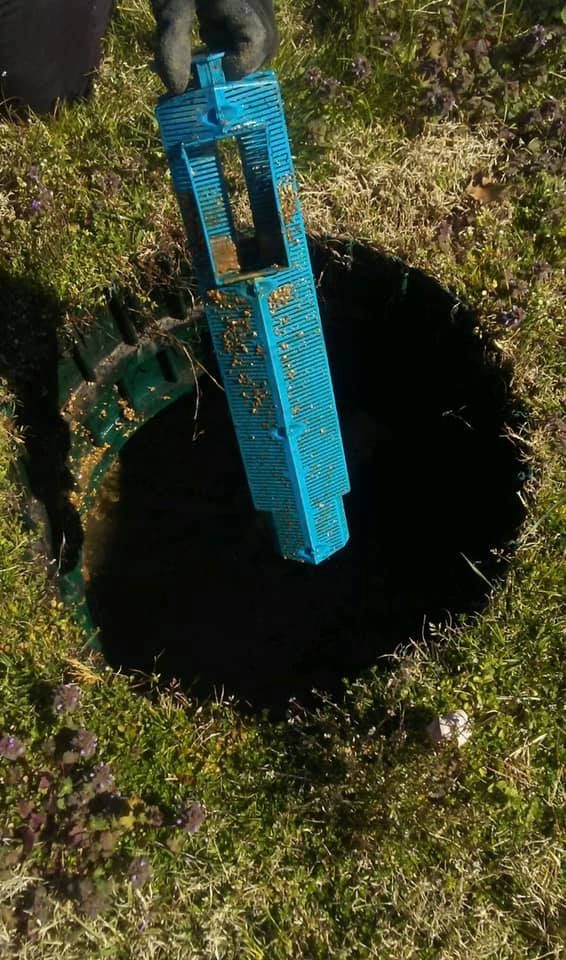 Septic Services for DiGati Wastewater Services in Clayton, DE