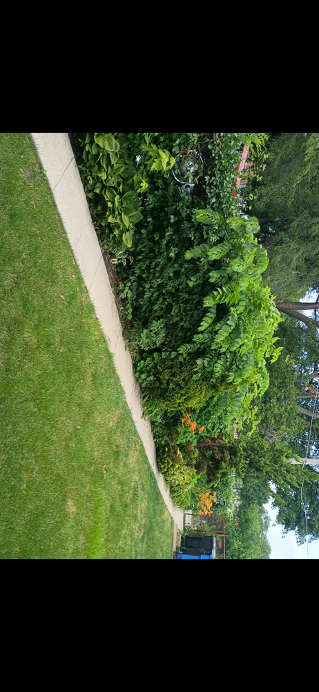 All Photos for Superior Lawn Care & Snow Removal LLC  in Chicago, IL