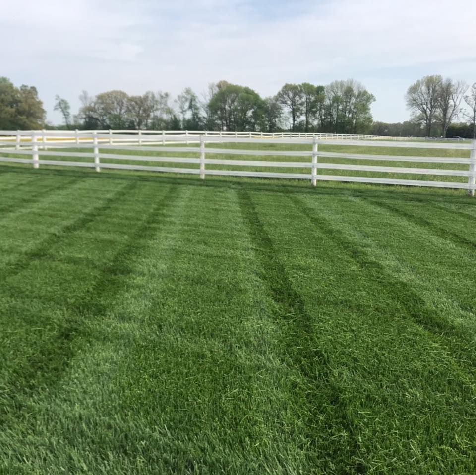 Lawn Care for Bailey’s Lawn Care & Dirt Service in Murray, KY