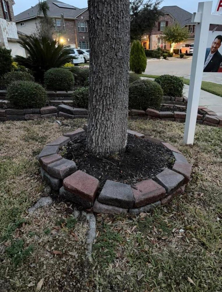 All Photos for Texas Curb N Borders in Houston, TX