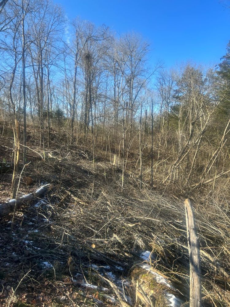 All Photos for Z's Land Management & Forestry Mulching in Smithville, TN