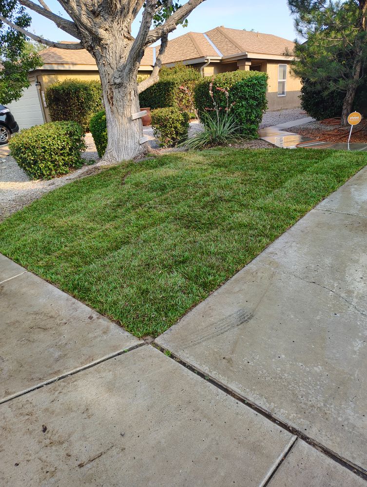 All Photos for 2 Brothers Landscaping in Albuquerque, NM