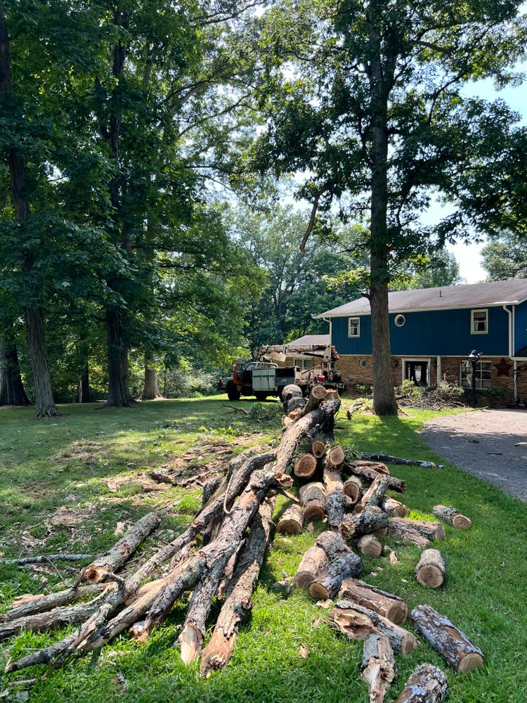 All Photos for Kadin’s Tree Service in North Vernon, IN