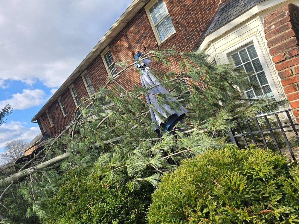 All Photos for M&L Lumber and Excavating in Jonesborough, TN