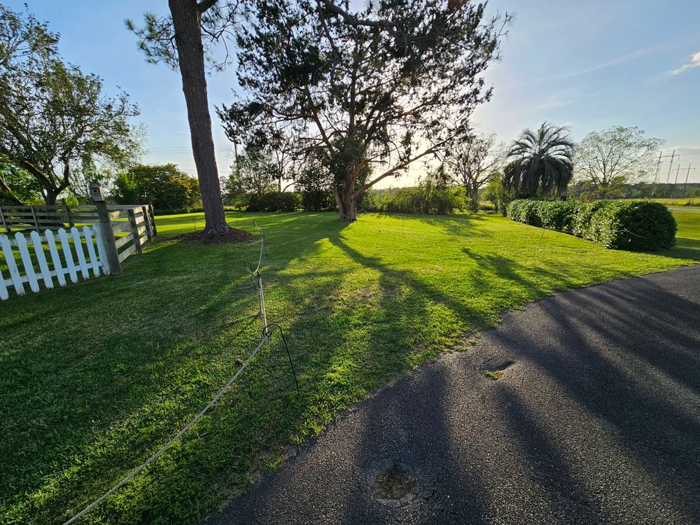 All Photos for Southern Shade Property Service in Ray City, GA
