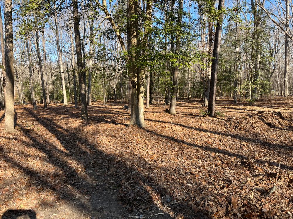 All Photos for Atlas Home Services in Mechanicsville, VA