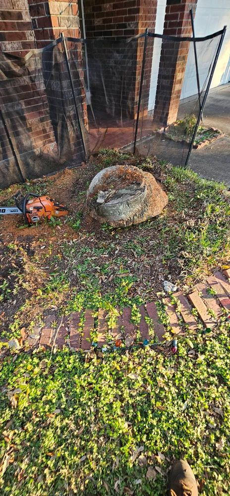 All Photos for Servin's Tree Care  in Houston, TX