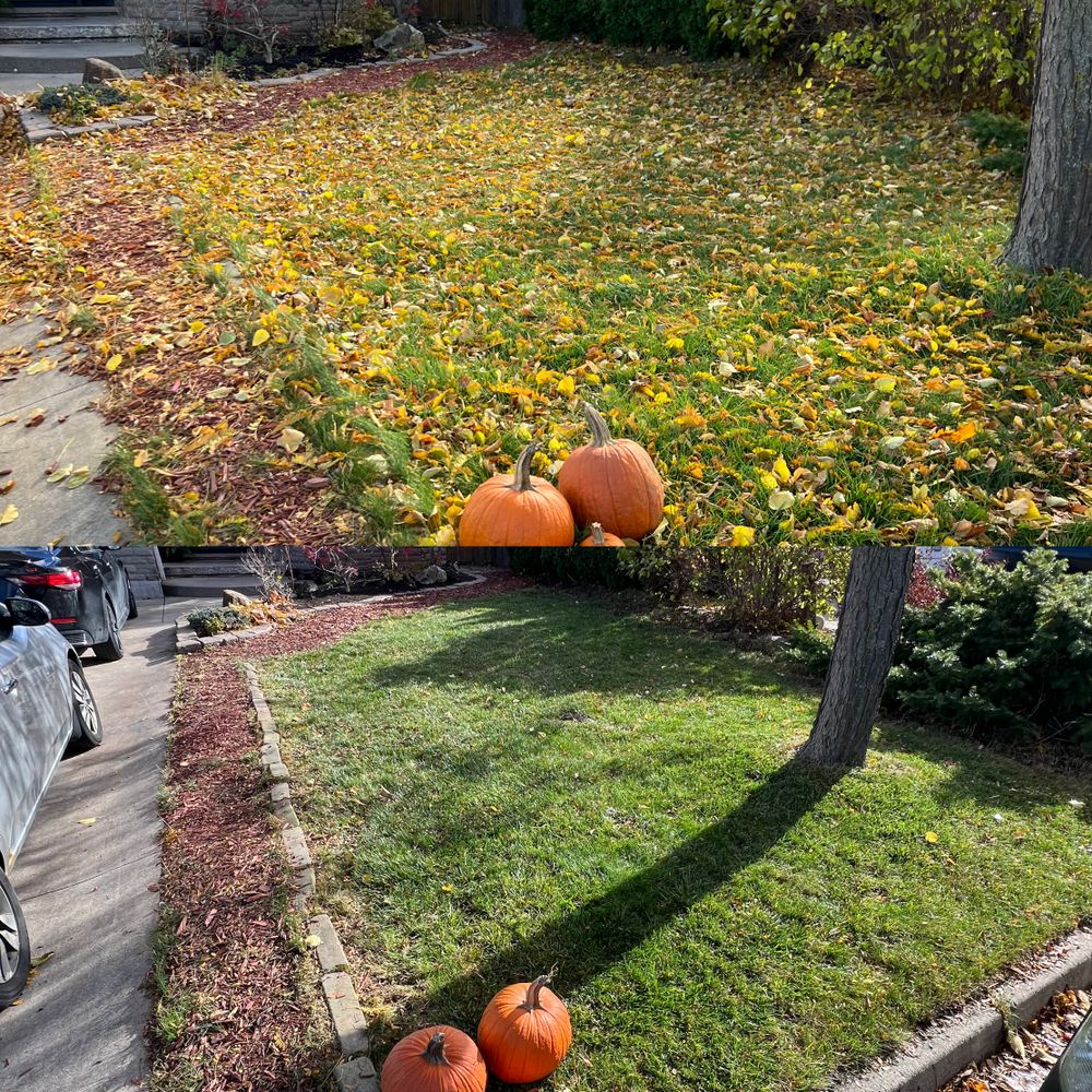 All Photos for CMN Exterior Maintenance in Hamilton, ON