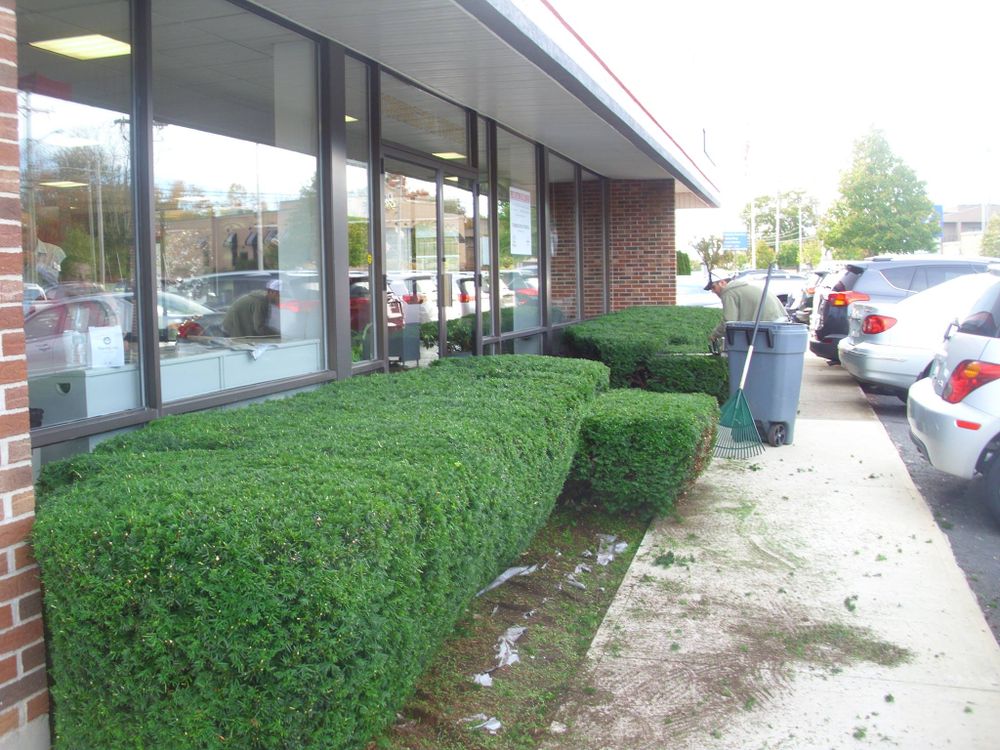 All Photos for Landscape Innovations LLC in Torrington, CT