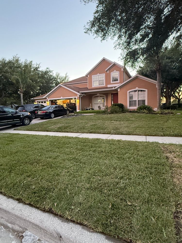 All Photos for Amerigrown Tree And Lawn in Apopka, FL