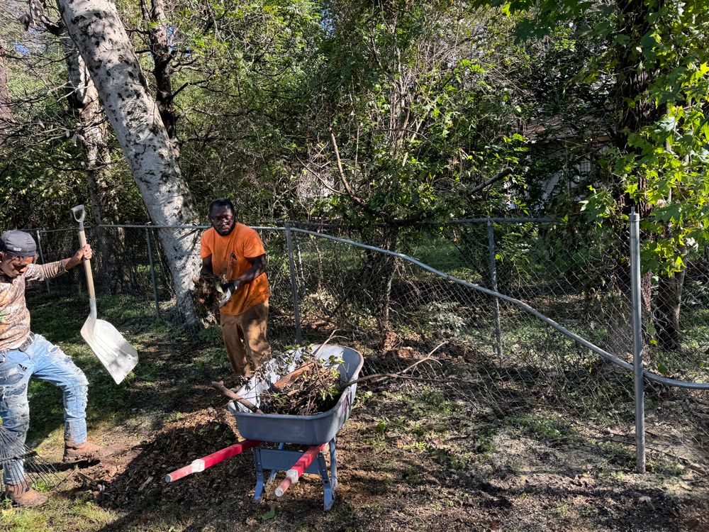 All Photos for Action Tree & Debris Removal in Jackson,  MS