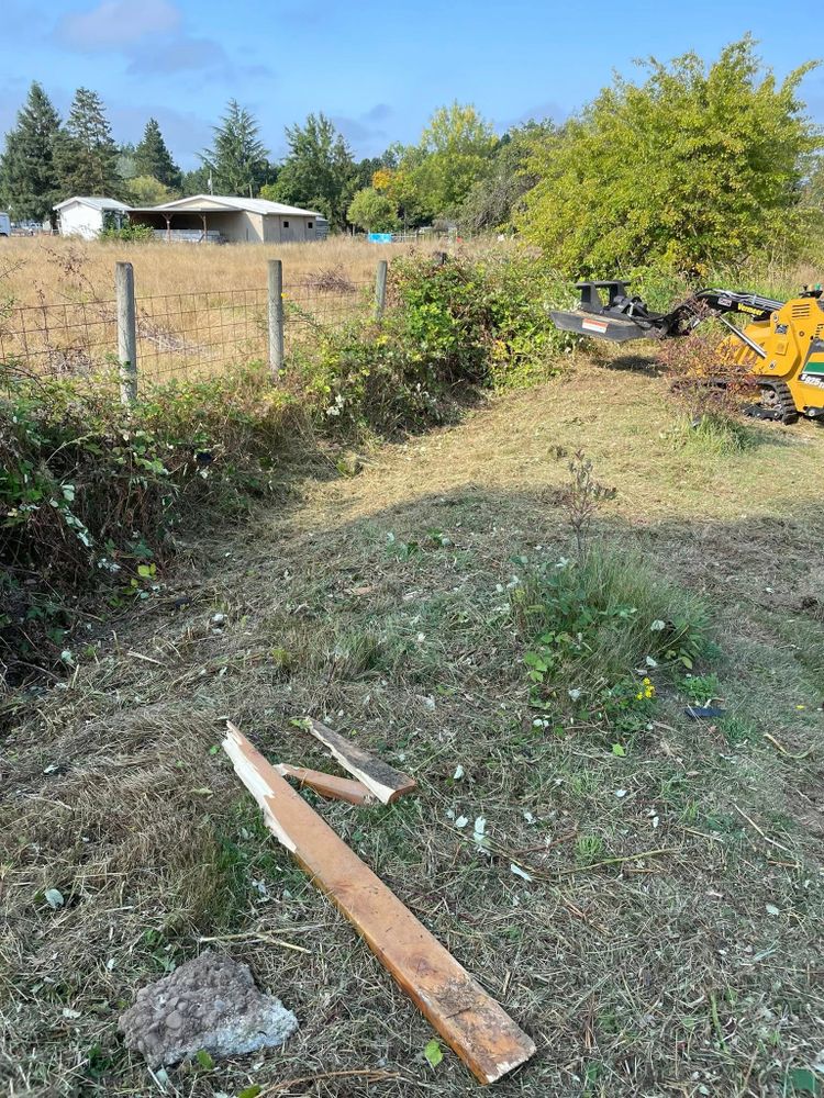 Tree Removal for Wilderness Stump Grinding in Orting, WA