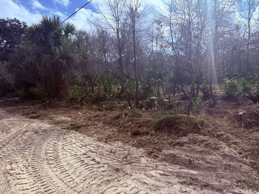 All Photos for Amerigrown Tree And Lawn in Apopka, FL