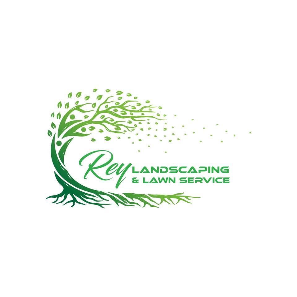 Tree Trimming and Removal for Rey Landscaping & Lawn service LLC in West Palm Beach,  FL