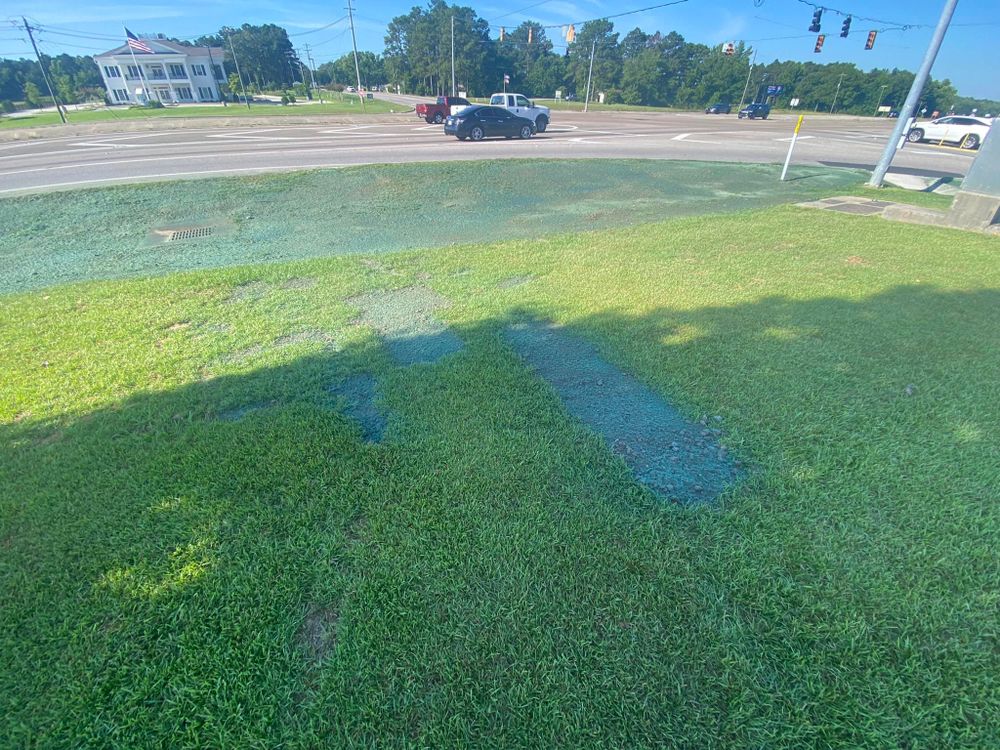 Hydroseeding for Holland Hydroseeding LLC in Columbia, MS