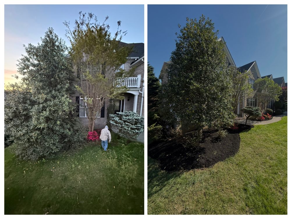 All Photos for Wesleys Landscaping in Clinton, TN