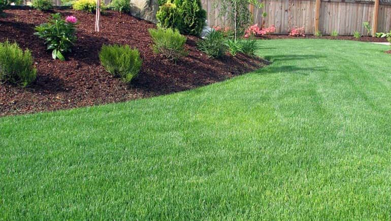 Our comprehensive Lawn And Landscape Maintenance service ensures your outdoor space is consistently well-groomed and healthy, encompassing mowing, edging, weeding, pruning, fertilizing, and overall landscape upkeep for optimal beauty. for Handy Hands Landscape in Corvallis, OR