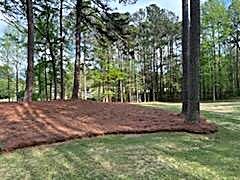 All Photos for Tri-P Services in Athens, GA