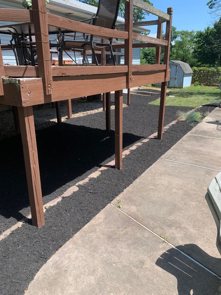 All Photos for Jason's Tree Service in Marlton, NJ