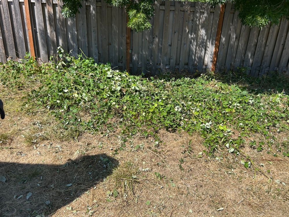 All Photos for Sol Junk Removal in Independence, OR