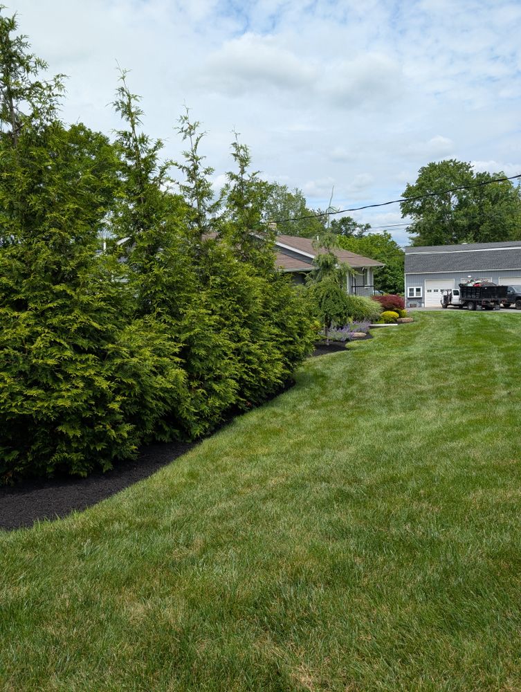 All Photos for Ettere Landscape Services in Flemington, NJ