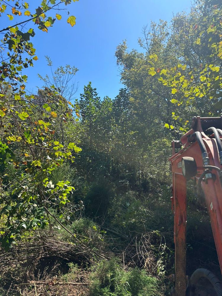 All Photos for Excavation Innovations in Rogersville, TN