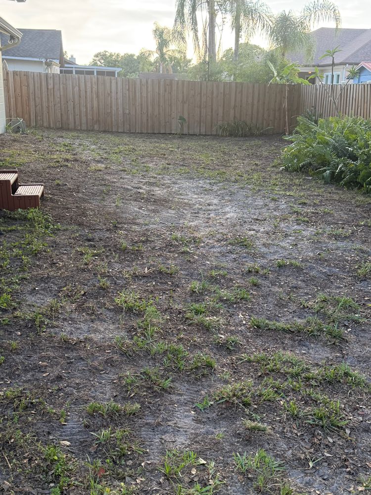 All Photos for The Yardman in Tampa, FL