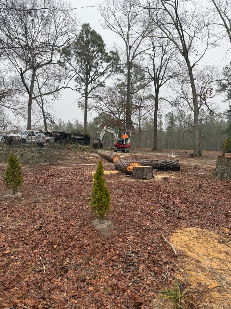 All Photos for T N L - Tree and Land Service in Reynolds, GA