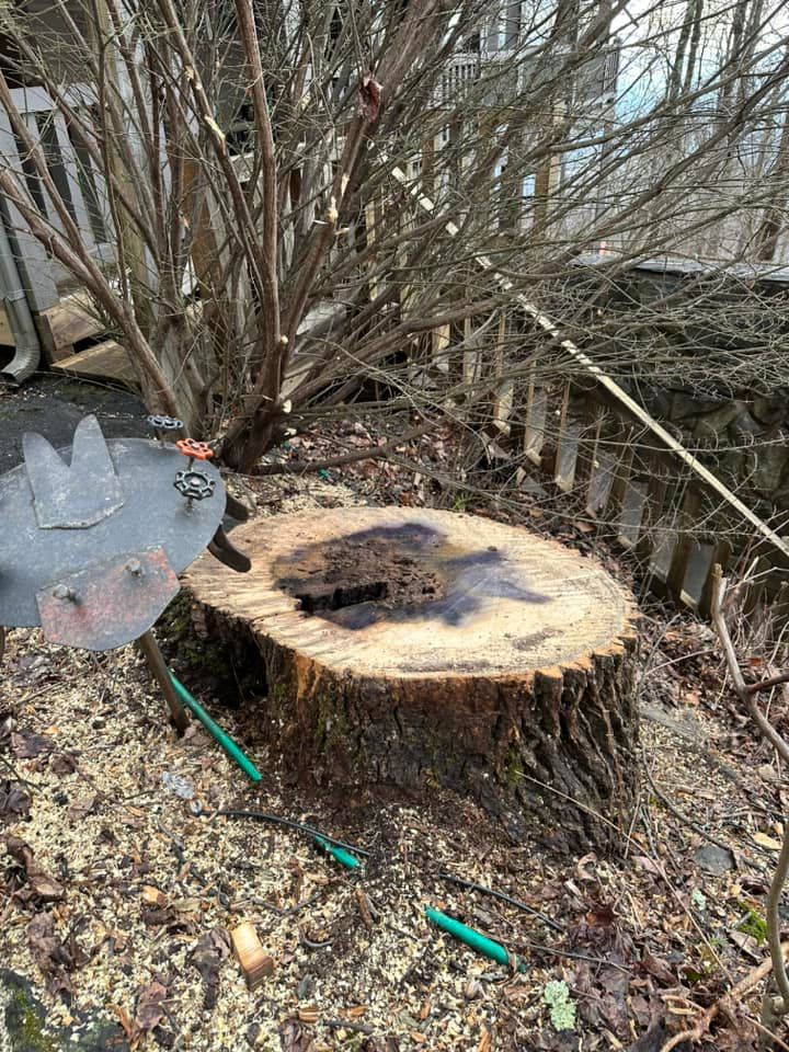 We offer professional stump removal services to fully eliminate unsightly tree stumps from your property, ensuring a clean and clear landscape that is safe and aesthetically pleasing. for Moore’s Tree Service in Chesnee, SC