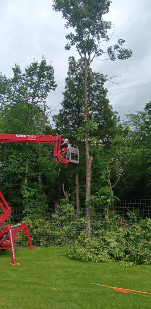 All Photos for Lawn Ranger Yard And Tree Service LLC in Ottumwa, IA