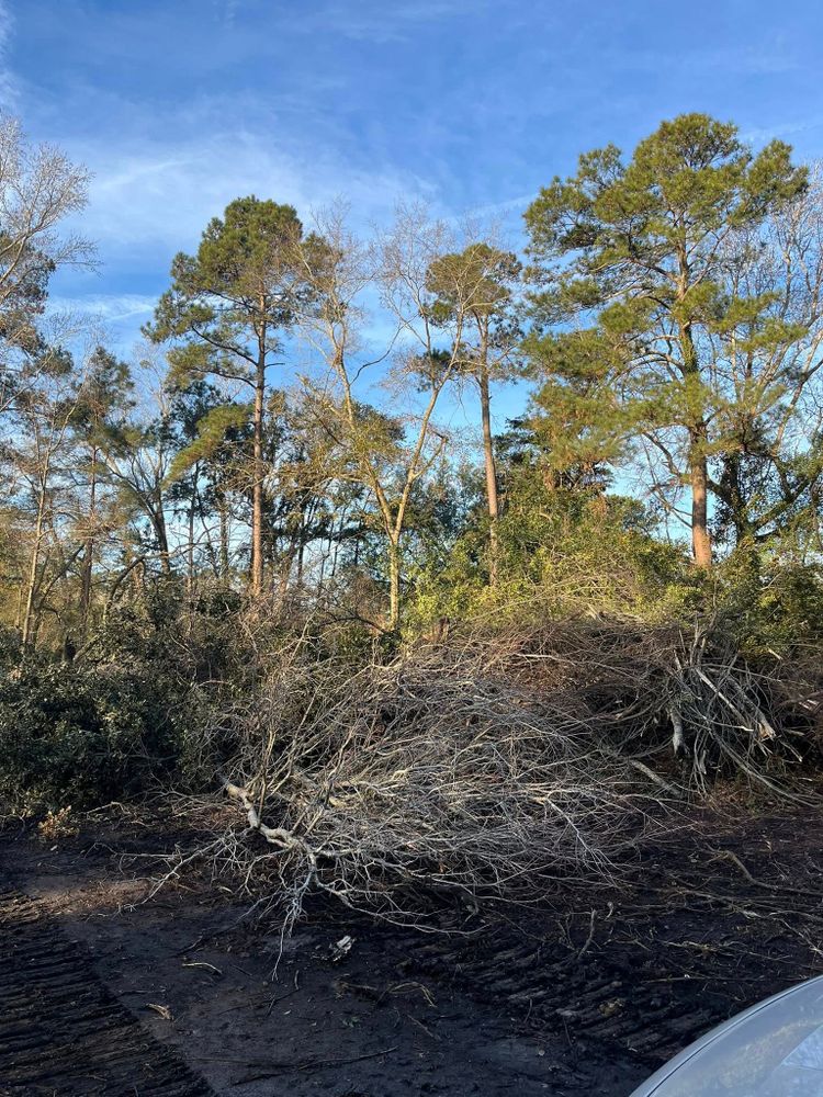 Enhance your property's landscape with our Forestry Mulching service, which efficiently clears overgrown vegetation, leaving a clean and healthy environment ready for development while promoting soil health and reducing fire hazards. for Touchberry Clearing & Grading Llc. in Columbia, South Carolina