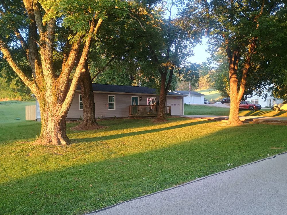 All Photos for Lightning Tree Service in Corydon, IN