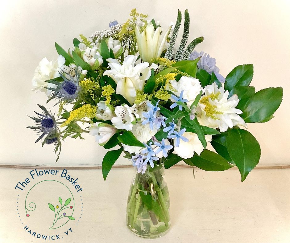 All Photos for The Dailey Daisy in Hardwick, VT