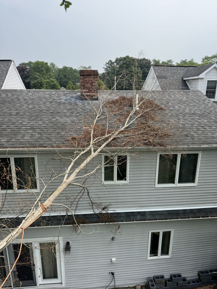 Storm Clean-up for Robery's Tree Service in West Wareham, MA