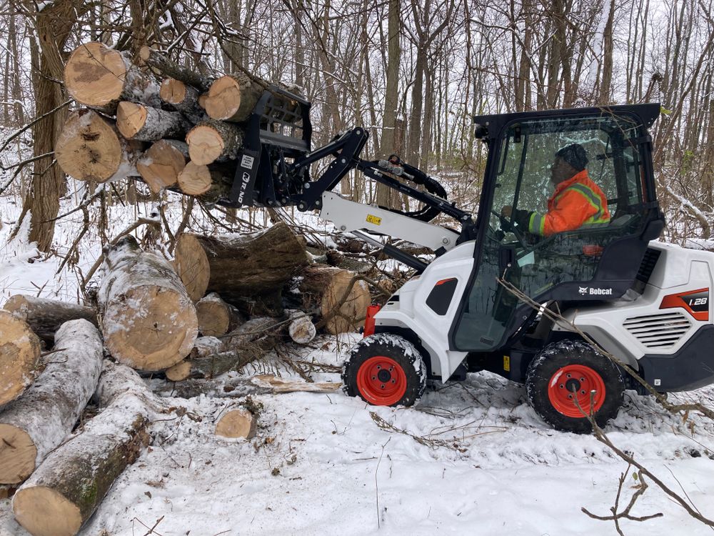 All Photos for Village Tree Service  in Whitestown, IN