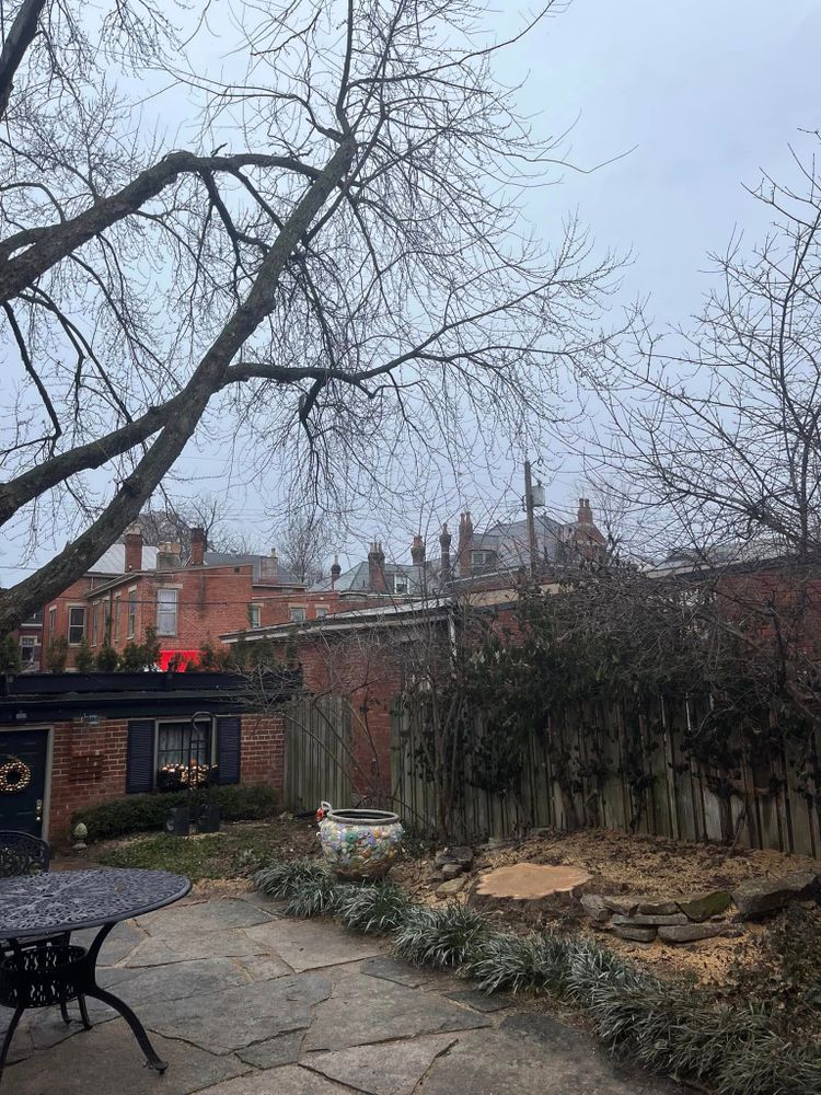 Tree Removal for Precision Tree Service, Inc. in Ryland Heights, KY