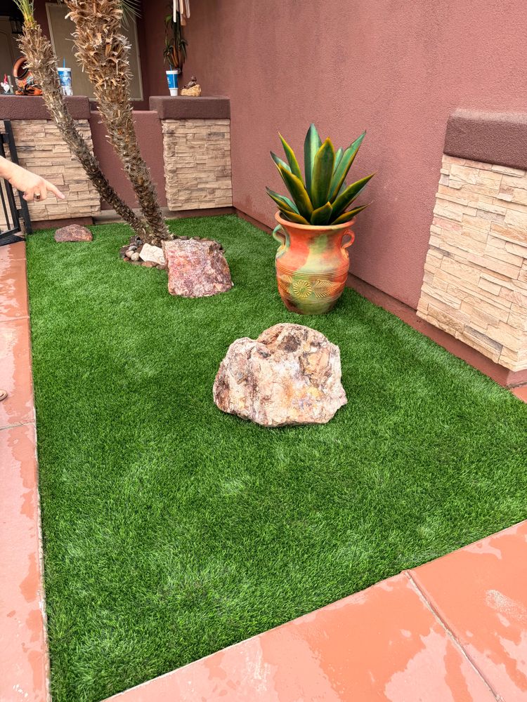 All Photos for Yuma Palms & Tree Service in Yuma, AZ
