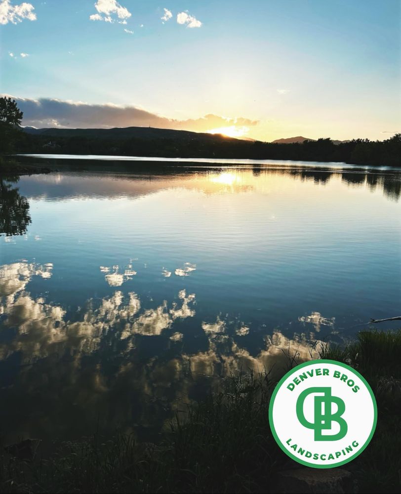 All Photos for Denver Bros Lawn Control in Denver, CO