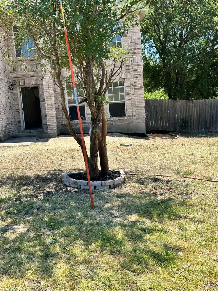 All Photos for Green Turf Landscaping in Kyle, TX