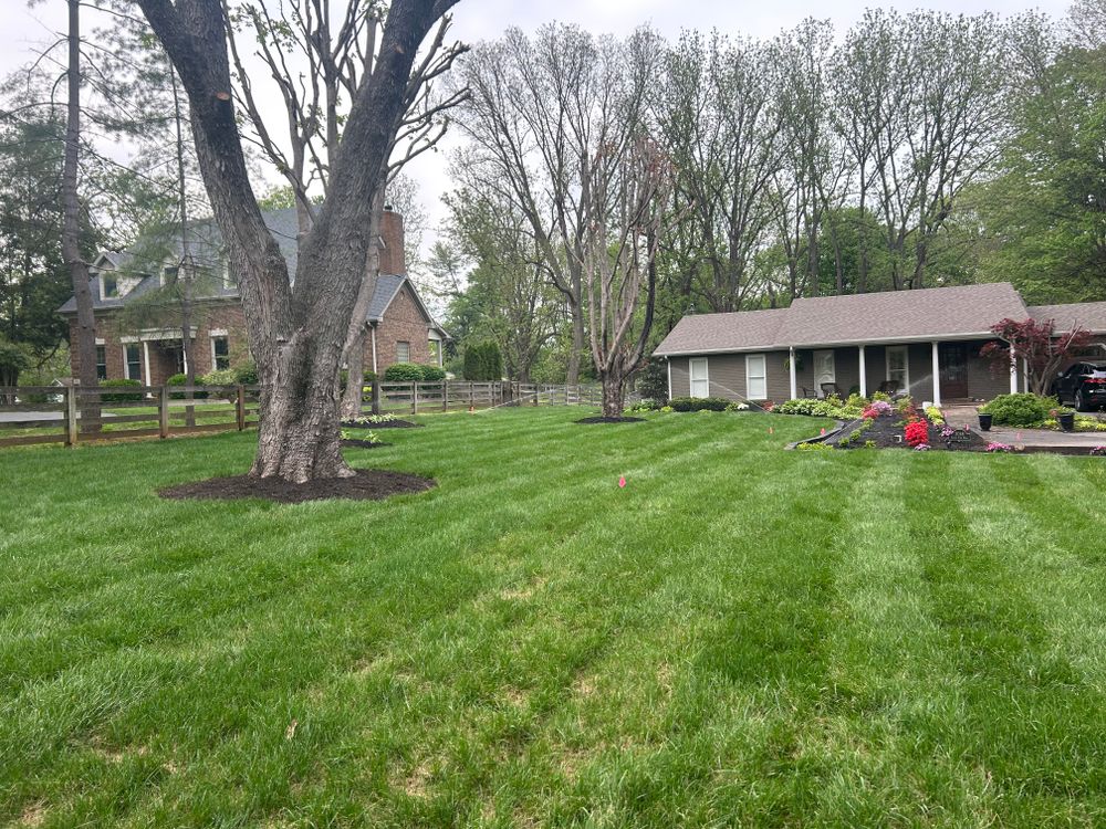 All Photos for Optimum Tree Service And Landscaping in Bowling Green, KY