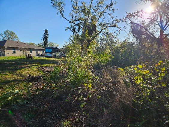 All Photos for Bay Area Bobcat in Riverview, FL