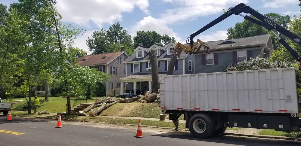 Tree Trimming and Removal for F & F Tree Service in Beavercreek, OH