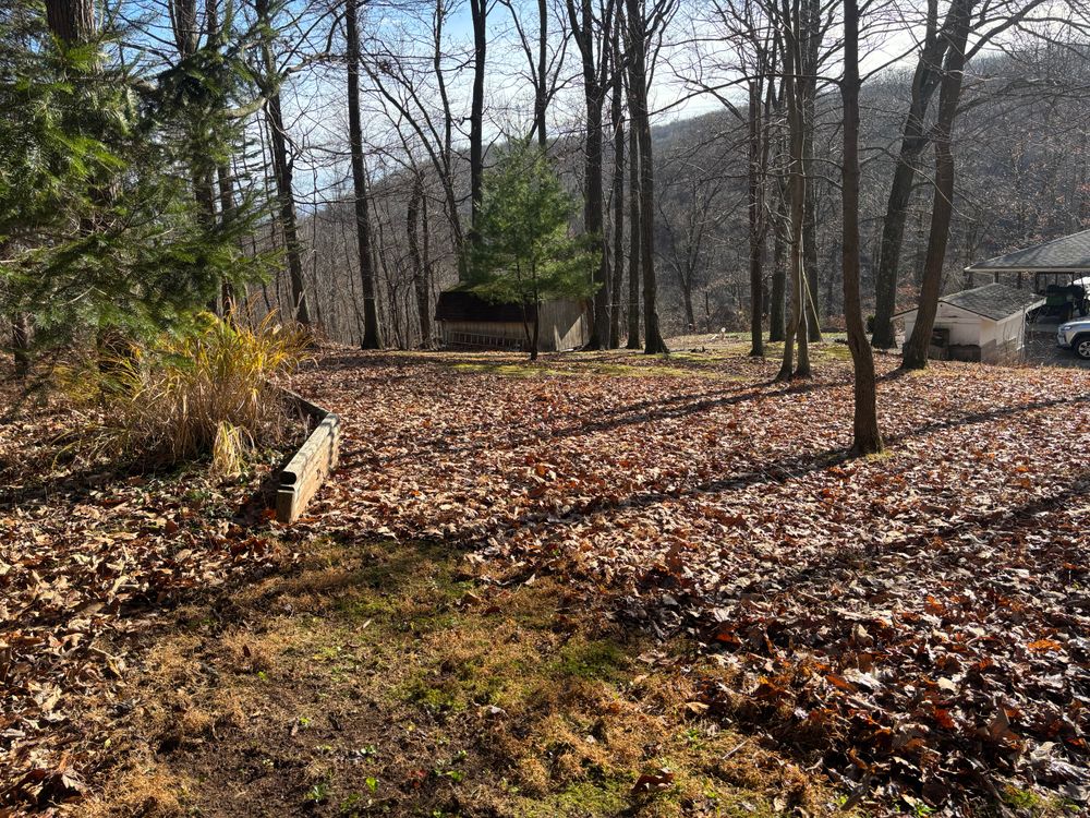 FALL CLEAN-UPS for Bryant Property Solutions in Altoona, PA
