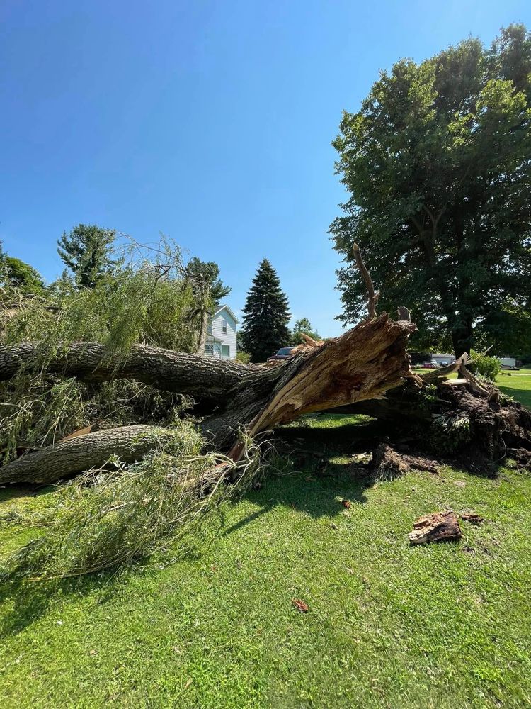 All Photos for God's Country Timber Management in Hillsdale, MI